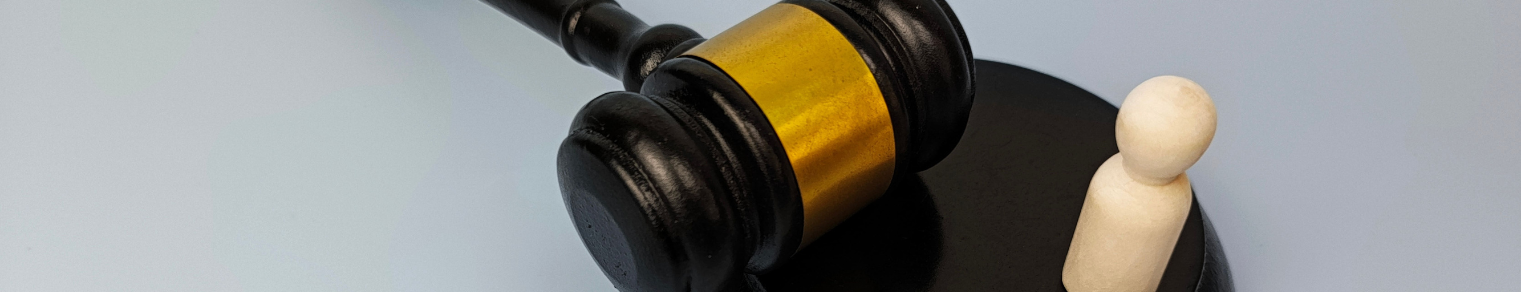 especializacion-en-derecho-de-la-seguridad-social